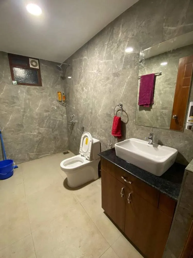 Guest bathroom and shower